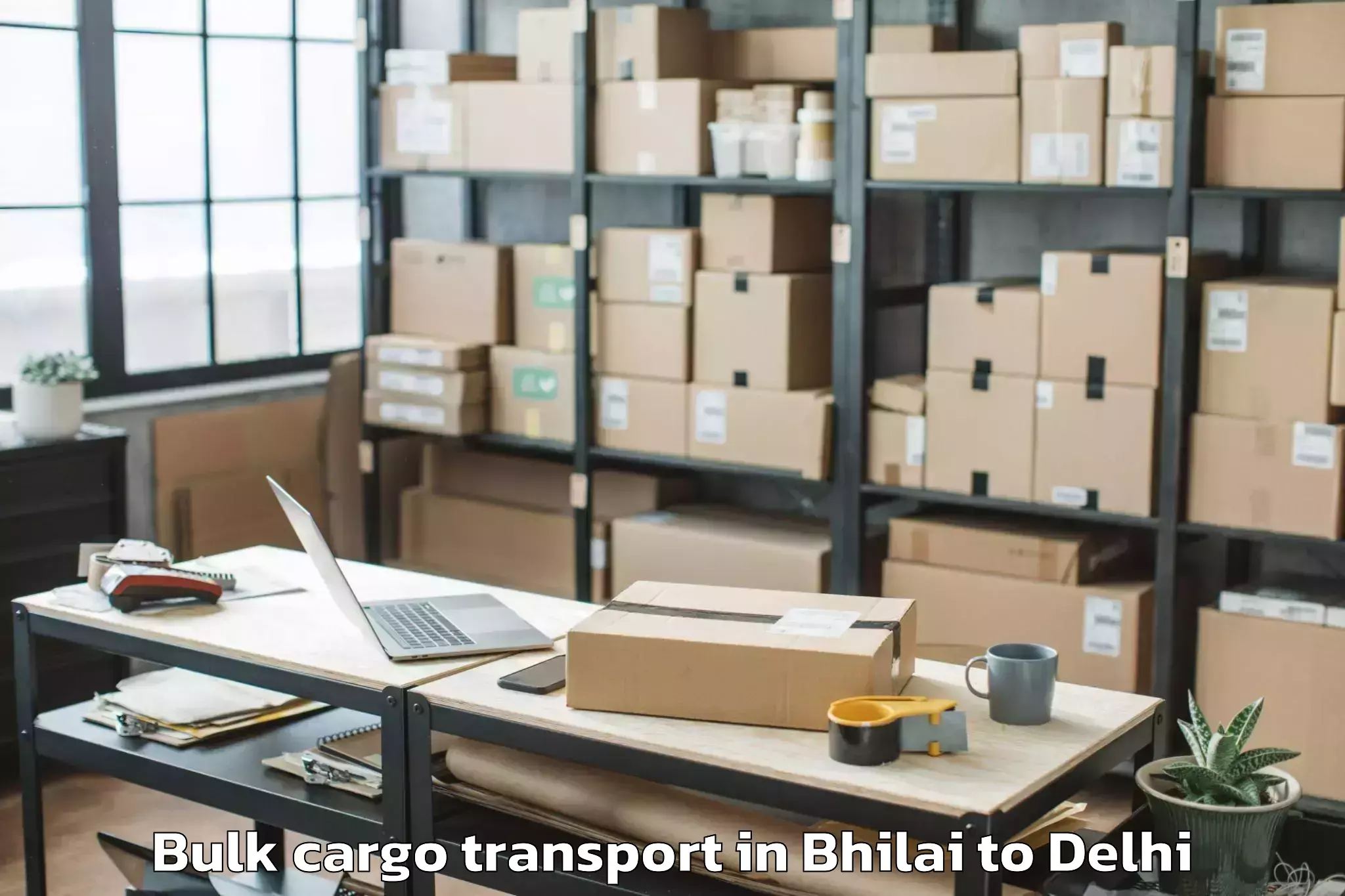 Trusted Bhilai to City Centre Mall Dwarka Bulk Cargo Transport